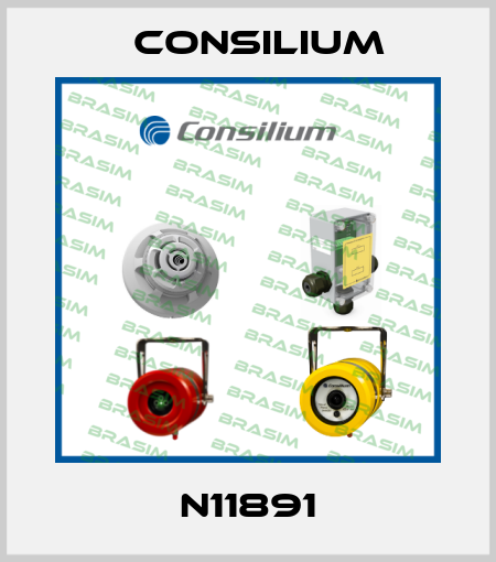 N11891 Consilium