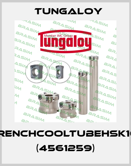 WRENCHCOOLTUBEHSK100 (4561259) Tungaloy