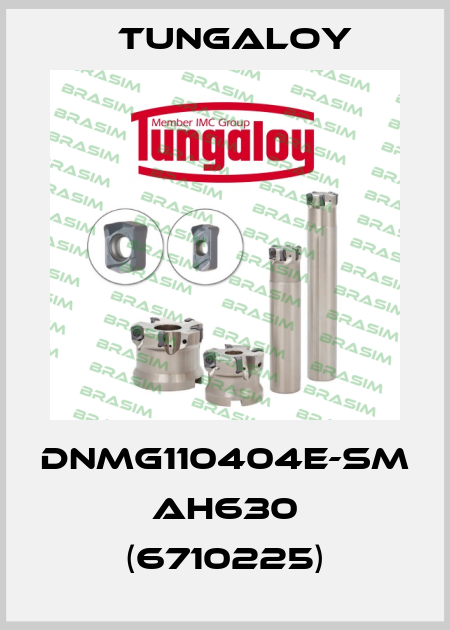DNMG110404E-SM AH630 (6710225) Tungaloy