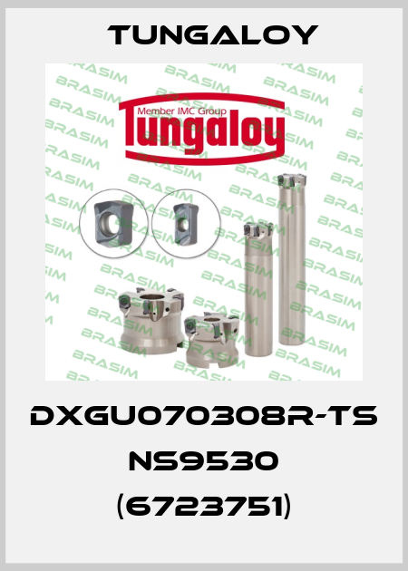 DXGU070308R-TS NS9530 (6723751) Tungaloy
