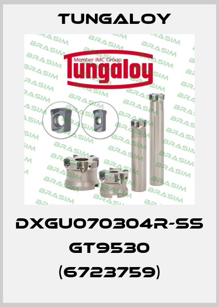 DXGU070304R-SS GT9530 (6723759) Tungaloy