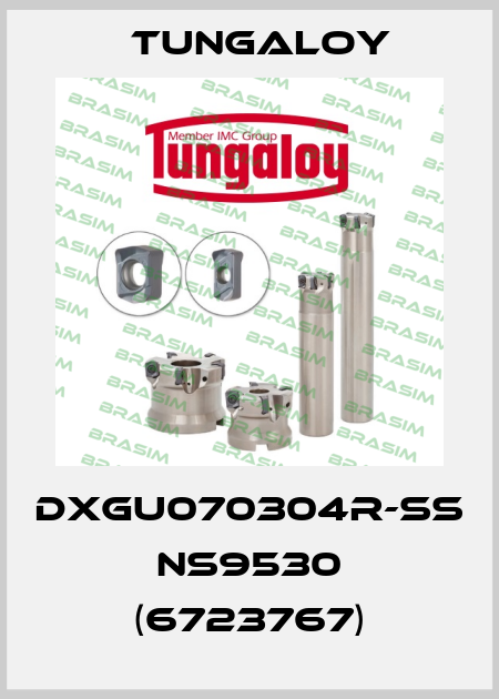 DXGU070304R-SS NS9530 (6723767) Tungaloy