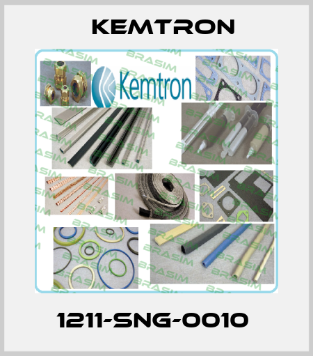 1211-SNG-0010  KEMTRON