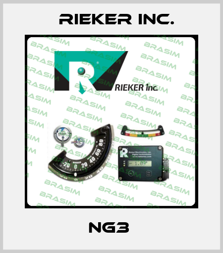 NG3  Rieker Inc.