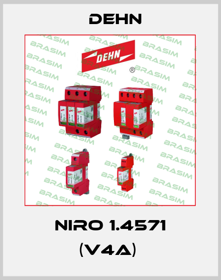 NIRO 1.4571 (V4A)  Dehn