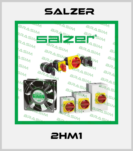 2HM1 Salzer