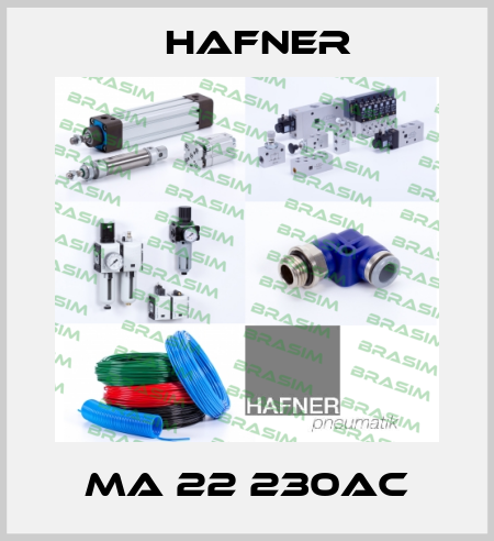MA 22 230AC Hafner