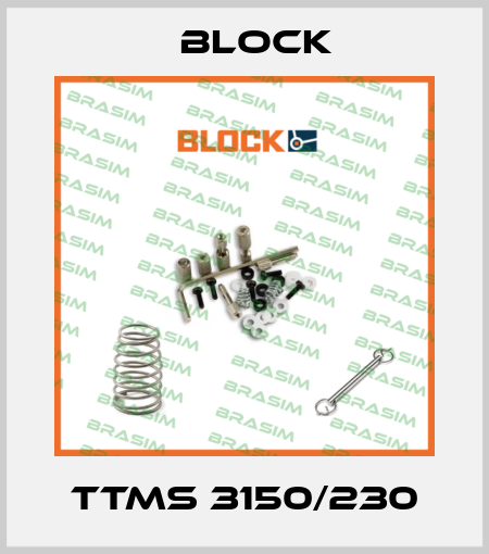 TTMS 3150/230 Block