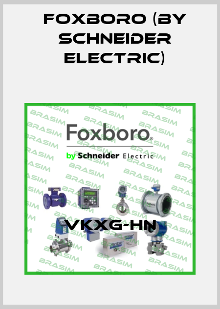 VKXG-HN Foxboro (by Schneider Electric)
