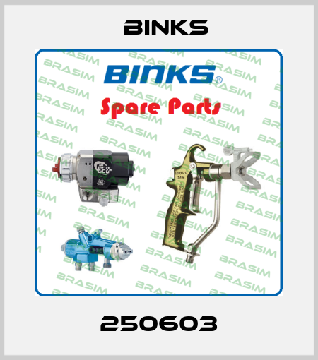 250603 Binks