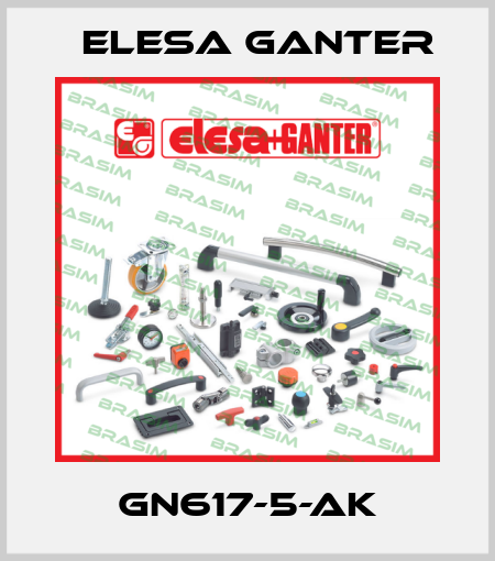 GN617-5-AK Elesa Ganter