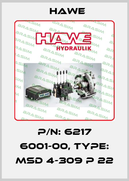 P/N: 6217 6001-00, Type: MSD 4-309 P 22 Hawe