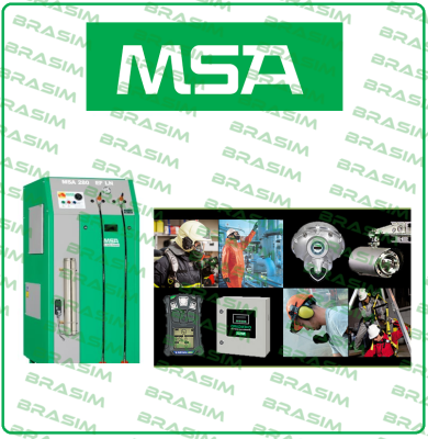 Type: H2S Msa