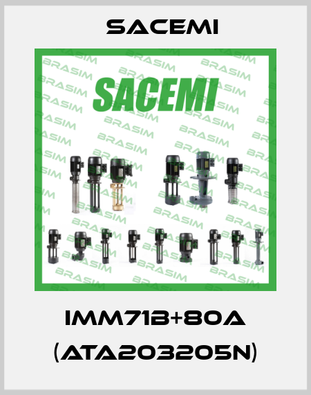 IMM71B+80A (ATA203205N) Sacemi