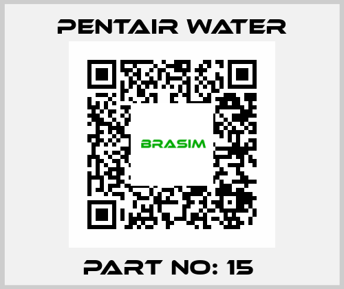 PART NO: 15  Pentair Water