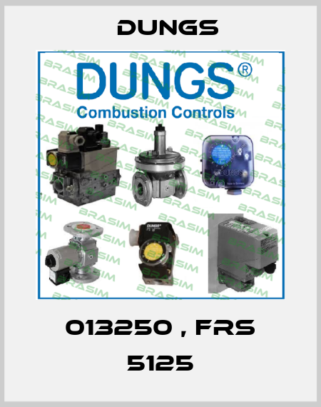 013250 , FRS 5125 Dungs