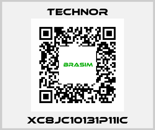 XC8JC10131P11IC TECHNOR