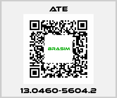13.0460-5604.2 Ate