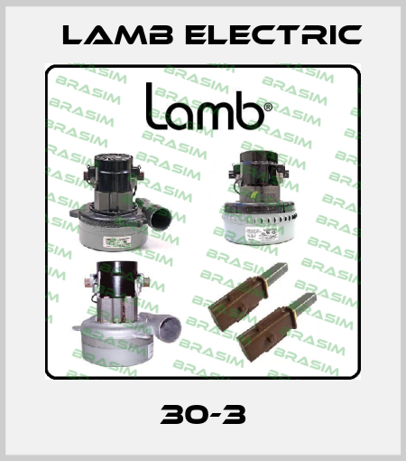 30-3 Lamb Electric