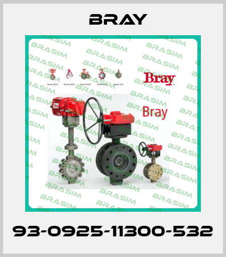 93-0925-11300-532 Bray