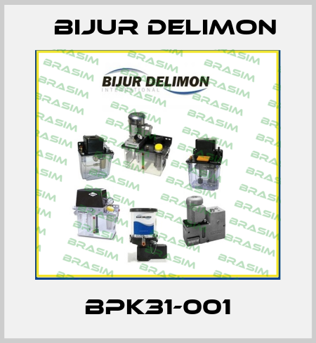BPK31-001 Bijur Delimon