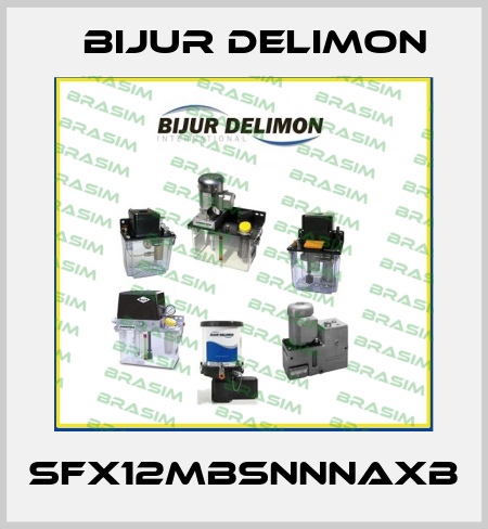 SFX12MBSNNNAXB Bijur Delimon