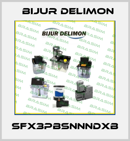 SFX3PBSNNNDXB Bijur Delimon