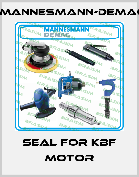 Seal for KBF motor Mannesmann-Demag