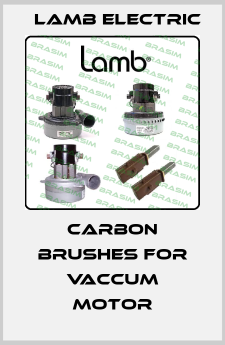 Carbon Brushes for Vaccum Motor Lamb Electric