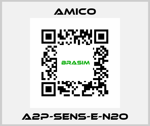 A2P-SENS-E-N2O AMICO