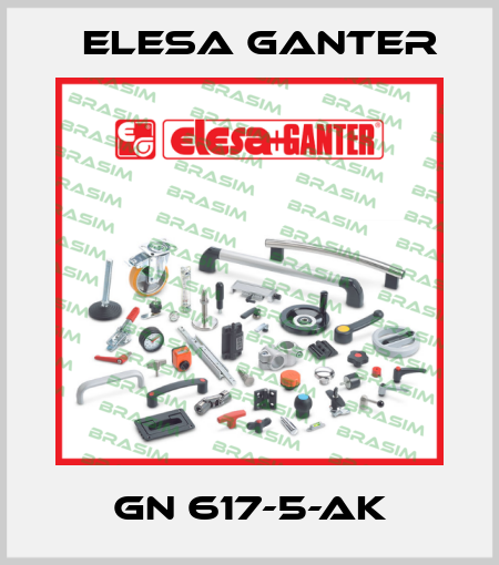 GN 617-5-AK Elesa Ganter