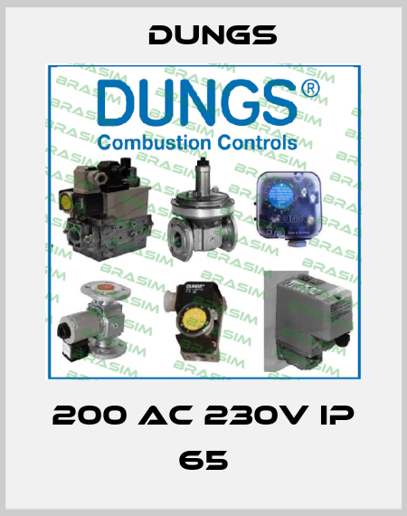200 AC 230V IP 65 Dungs