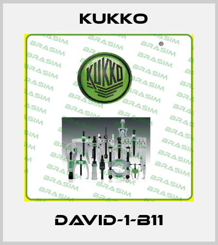 David-1-B11 KUKKO