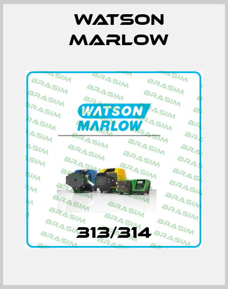 313/314 Watson Marlow
