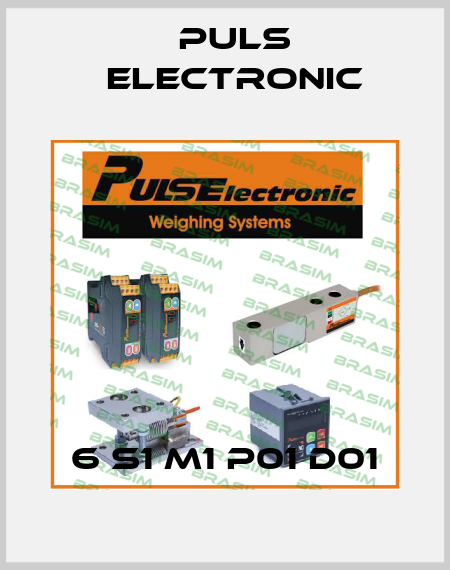 6 S1 M1 P01 D01 Puls Electronic
