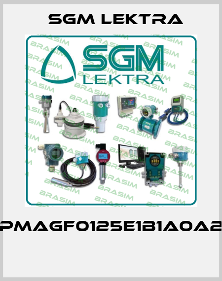 PMAGF0125E1B1A0A2  Sgm Lektra