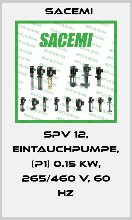 SPV 12, Eintauchpumpe, (P1) 0.15 kW, 265/460 V, 60 Hz Sacemi