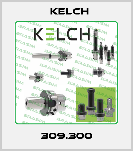 309.300 Kelch