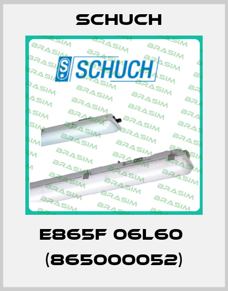 e865F 06L60  (865000052) Schuch