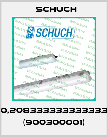 0,208333333333333 (900300001) Schuch