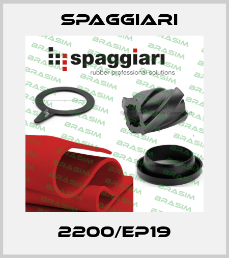 2200/EP19 Spaggiari