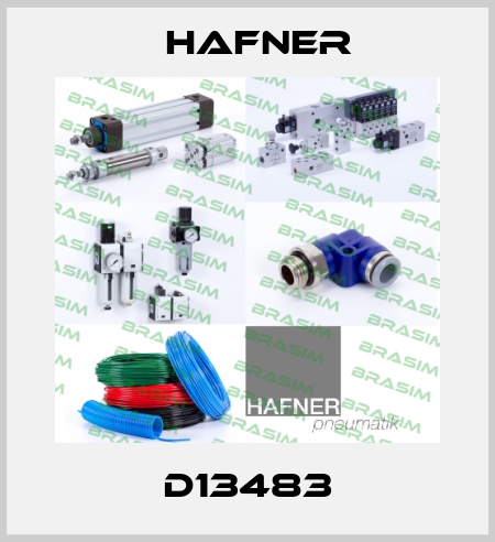 D13483 Hafner