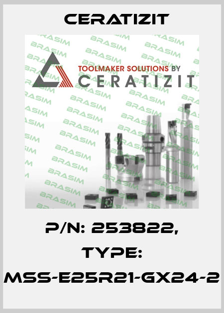 P/N: 253822, Type: MSS-E25R21-GX24-2 Ceratizit