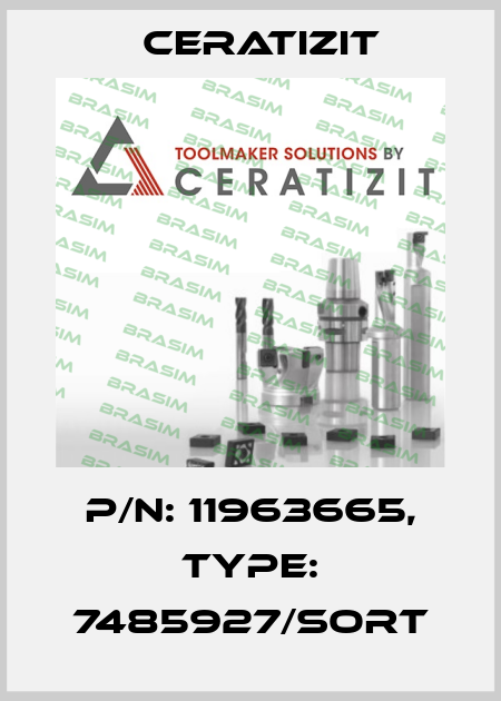 P/N: 11963665, Type: 7485927/SORT Ceratizit