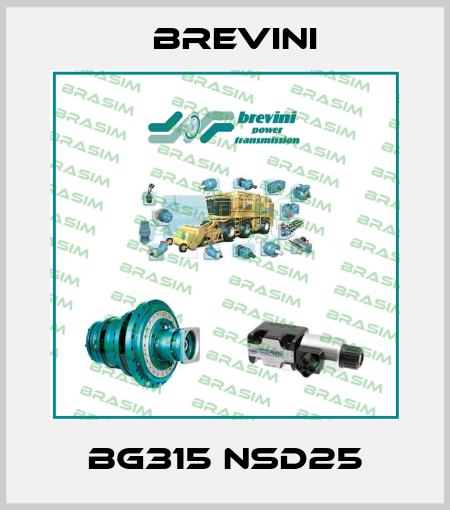 BG315 NSD25 Brevini