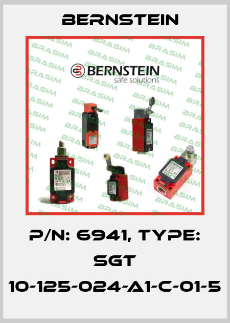 P/N: 6941, Type: SGT 10-125-024-A1-C-01-5 Bernstein