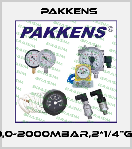 PN100,0-2000MBAR,2*1/4"G(F),LM Pakkens