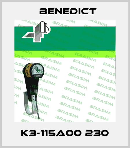 K3-115A00 230 Benedict