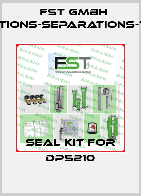 Seal kit for DPS210 FST GmbH Filtrations-Separations-Technik
