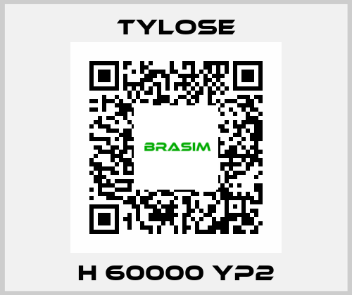 H 60000 YP2 Tylose